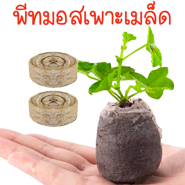 พีทมอสเพาะเมล็ด🎈ก้อนพีทมอส🎈10แถม1🎯ถูกที่สุด19บ.🎯พีทมอสอัดก้อน🎈เพาะง่าย☘️เมล็ดงอกง่าย🌱ต้นกล้าโตไว
