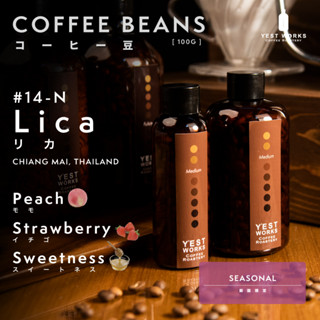 เมล็ดกาแฟคั่ว #14-N Lica เชียงใหม่ By YEST WORKS [Coffee beans 200g/100g]