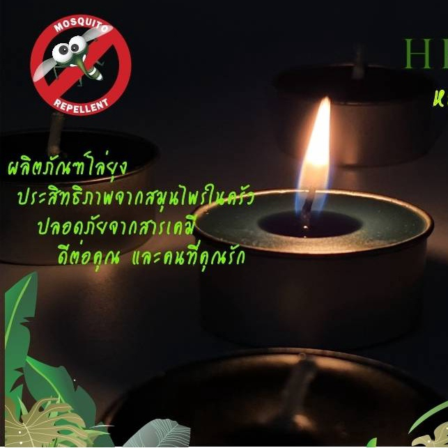 เทียนตะไคร้หอมไล่ยุง ทีไลท์  กล่องใส เซท 4 ชิ้น เทียนหอม เทียนไข เทียนไล่ยุง candle citronella