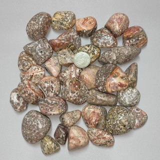 หินแจสเปอร์ลายเสือดาว Leopard skin jasper (1 ก้อน)