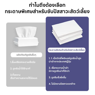 yoyopet : Pet Pee Paperกระดาษเช็ดฉี่สัตว์เลี้ยงคุณภาพดี ซึมซับได้เร็ว กำจัดกลิ่นได้ดี ไม่ทิ้งคราบฉี่