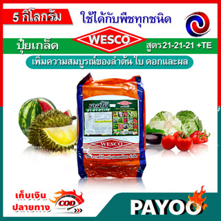 🔥ลด 50% ใส่โค้ด INC8LZ3🔥 บรรจุ 5 กิโลกรัม WESCO ปุ๋ยเกล็ด เวสโก้ 🛒มีหลายสูตรให้เลือก🛒