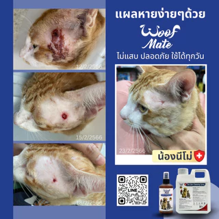 สเปรย์WoofMate 200ml บรรเทาอาการเชื้อรา ยีสต์ เรื้อน ลดอักเสบ คันเกา แผลถูกกัด แผลติดเชื้อ แผลกดทับ แผลเรื้อรัง