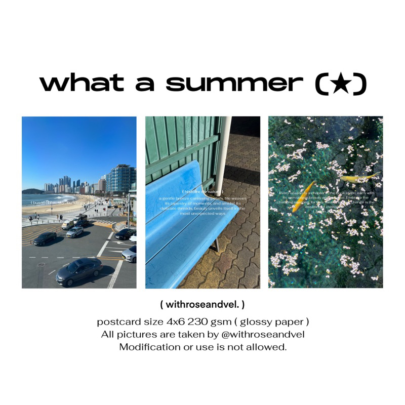 what a summer (★) — postcard 4x6 โปสการ์ด โฟโต้การ์ด