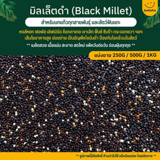 มิลเล็ตดำ Black Millet อาหารนก อาหารธัญพืช สำหรับนก และสัตว์ฟันแทะ (แบ่งขาย 250G / 500G / 1KG)