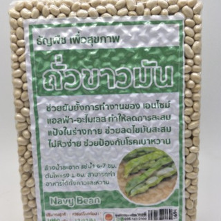 ถั่วขาวมัน ดิบ  ถั่วขาว ขนาด 500 กรัม โปรตีนจากพืช