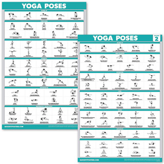 QuickFit : QKFYGP2P* โปสเตอร์ QuickFit Yoga Poses Poster Set