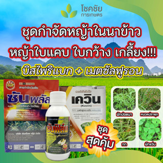 ยาฆ่าหญ้าในนาข้าว บิสไพริแบก-โซเดียม เมตซัลฟูรอน กำจัดหญ้าใบแคบ ใบกว้าง