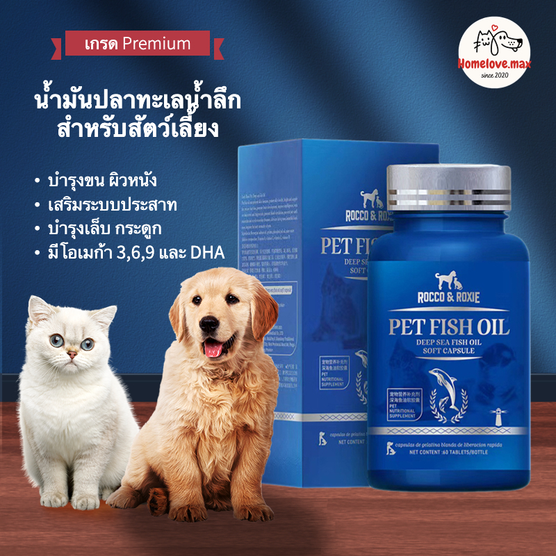 R&R น้ำมันปลาแซลมอนแท้ Premium สำหรับสัตว์เลี้ยง บำรุงขน ผิวหนัง สุนัข เบื่ออาหาร หมา แมว