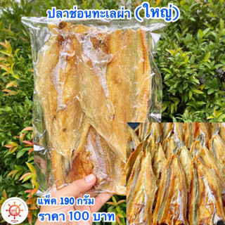 ปลาช่อนทะเลตากแห้งบางใหญ่🐟 แพ็ค 190 กรัม พร้อมส่ง