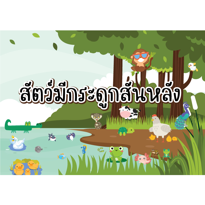 สื่อการสอนวิทยาศาสตร์ สื่อการสอนเรื่องสัตว์มรกระดูกสันหลัง