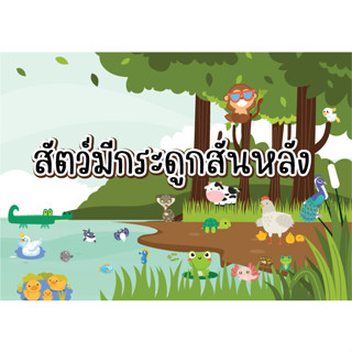 สื่อการสอนวิทยาศาสตร์ สื่อการสอนเรื่องสัตว์มรกระดูกสันหลัง