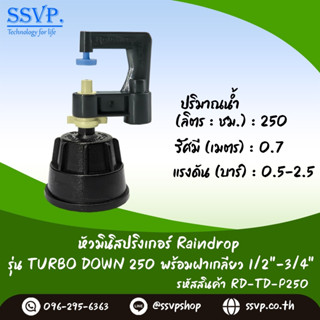 มินิสปริงเกอร์ รุ่น TURBO DOWN ปริมาณน้ำ250 ลิตร/ชั่วโมง พร้อมฝาครอบเกลียวใน ขนาด 1/2"-3/4" รหัสสินค้า TURD-250-RDPG1234