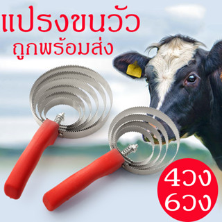 แปรงขนวัว แปรงขนแกะ แปรงขนม้า แปรงเกาวัว 4 วง 6 วง