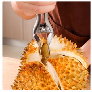 Durian peel stainless steel ที่แกะเปลือกทุเรียน สะดวก ประหยัดเวลา