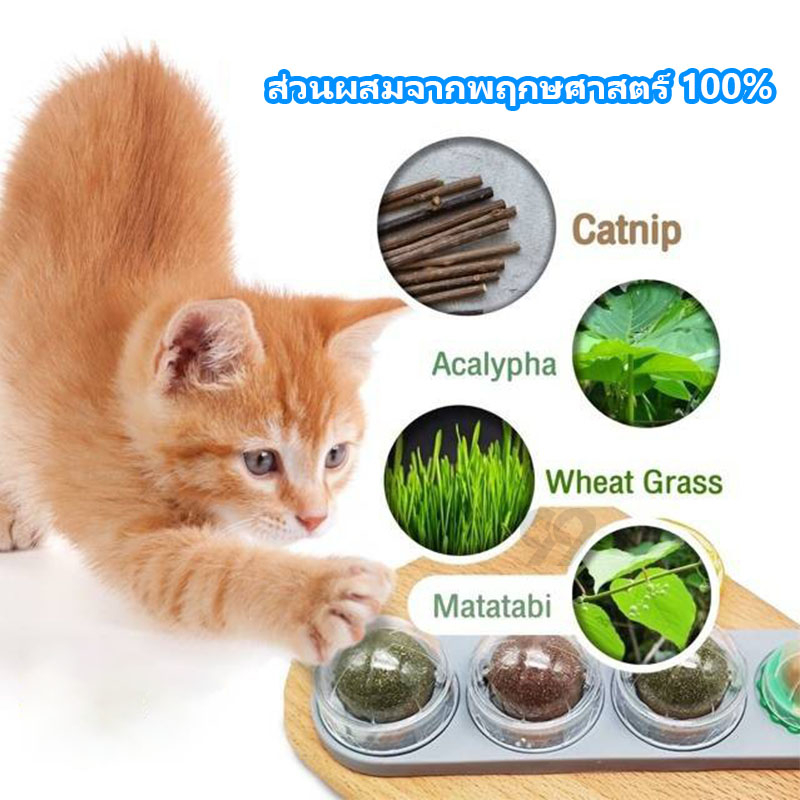 99PET กัญชาแมว ของเล่นแมว หญ้าแมว แคทนิปแมว catnip หญ้าแมว ของเล่นแมวเลีย ติดกำแพง หลากหลายรสชาติ