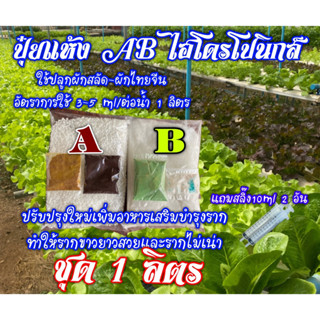 ปุ๋ยแห้ง AB ผักสลัด-ผักไทยจีน ชุดคู่ 1 ลิตร