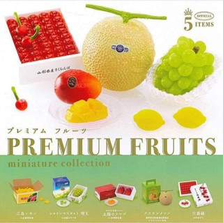 Gachapon Premium fruit miniature กาชาปอง ผลไม้ พรีเมี่ยม ของเล่นขนาดเล็ก ตกแต่งบ้านตุ๊กตา ของแท้จากญี่ปุ่น