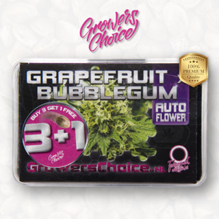 Grapefruit x Bubblegum (Auto) - Growers Choice เมล็ดกัญชา นำเข้าแท้100% เมล็ดเพศเมีย