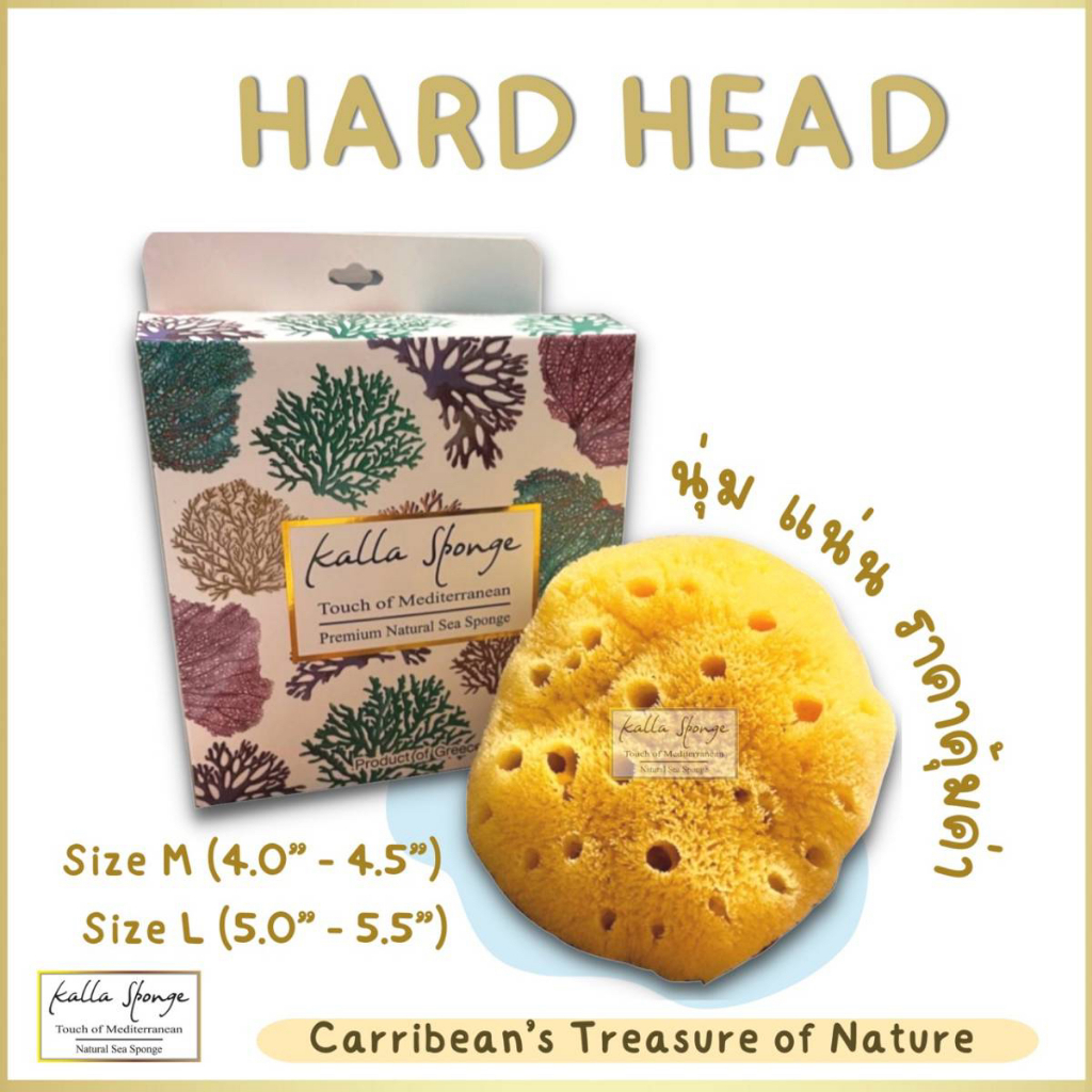 KALLA SPONGE ฟองน้ำธรรมชาติ ชนิด Hard Head สีเหลือง ฟองน้ำ สำหรับอาบน้ำ ใช้ได้ทุกเพศทุกวัย