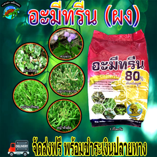 สิงห์ อะมีทรีน 1กิโลกรัม วัชพืชใบแคบใบกว้างในอ้อย หญ้านกสีชมพู หญ้าตีนติด หญ้าปากควาย สาบม่วง ผักเบี้ยหิน  ราชาเต่าเกษตร