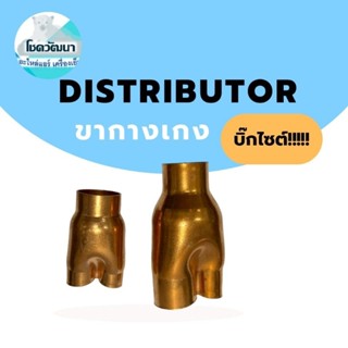 Distributor (ขากางเกง) บิ๊กไซต์!!! (ของแท้ ยี่ห้อ KNP)