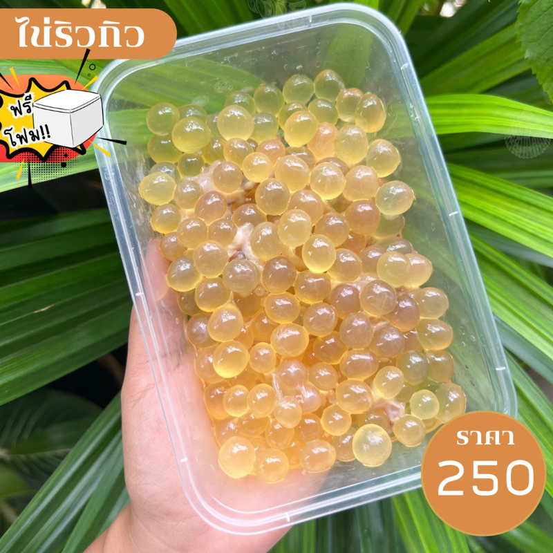 🐟ไข่ปลา🐟 ริวกิว เรียวเซียว 200 กรัม ‼️ฟรีโฟม‼️