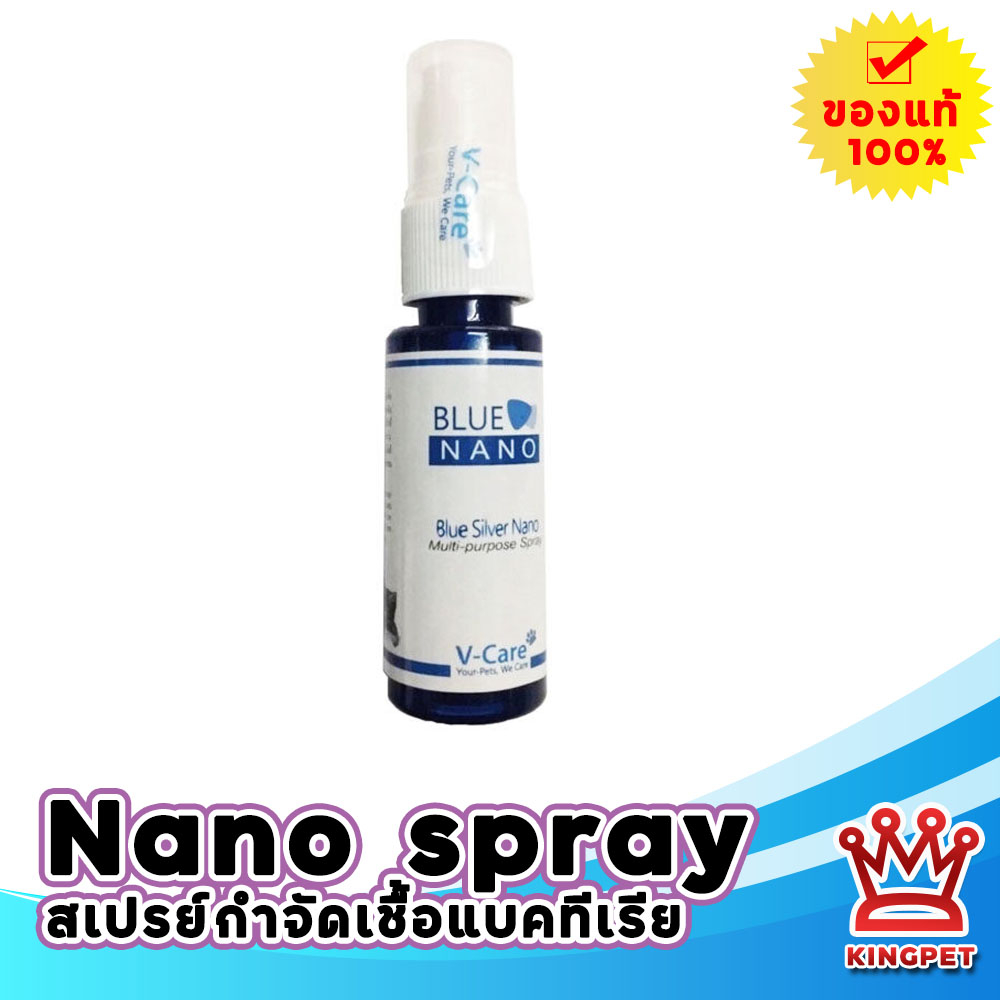Blue silver nano 25 ml สเปรย์กำจัดเชื้อแบคทีเรีย
