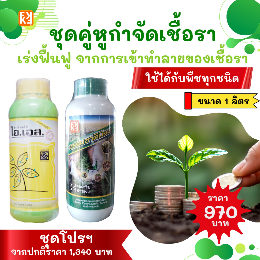 กำจัดเชื้อรา สาเหตุของโรคพืช ฉีดพ่น ไอเอส และ FK-T ช่วยฟื้นฟู พืช จากการเข้าทำลายของเชื้อรา โดย FK ขนาด 1 ลิตร