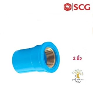 SCG ต่อตรงเกลียวใน ทองเหลือง (Brass Faucet Socket) ท่อหนา อุปกรณ์ท่อประปา PVC สีฟ้า ขนาด  2 นิ้ว