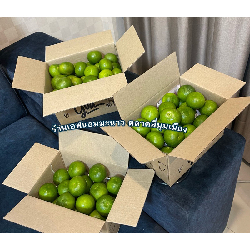 มะนาวแป้นรำไพเบอร์400 / เบอร์500 / เบอร์600 เปลือกบาง น้ำเยอะ เก็บสดจากสวน คัดพิเศษ จัดส่งไว