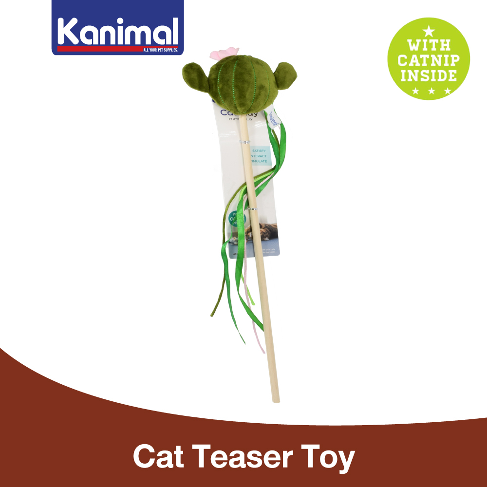 [112439] Kanimal Cat Toy ของเล่นแมว ไม้ล่อแมว รุ่น Cactus Play Teaser กระบองเพชรตัน สำหรับแมว 13x9.5 ซม. (ยาว 42 ซม.)