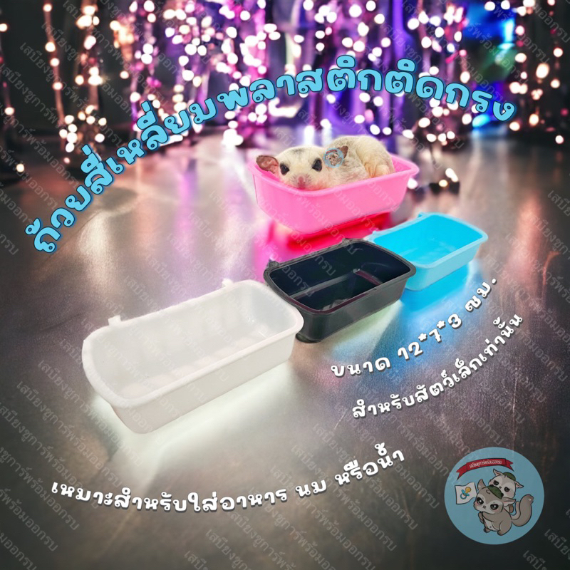 V ( ถ้วยพลาสติกสี่เหลี่ยมติดกรง ) ถ้วยสี่เหลี่ยม ถ้วยพลาสติก ถ้วยอาหาร ถ้วยน้ำ ชูการ์ กระรอก นก บุชเบบี้ ลิงมาโมเสท