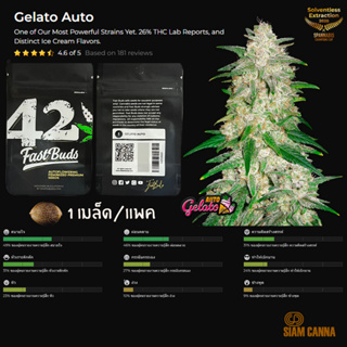 เมล็ดกัญชา Gelato Auto - Fastbuds Pack : 1 seed พร้อมแพ็คเกจค่าย เมล็ดกัญชาออโต้