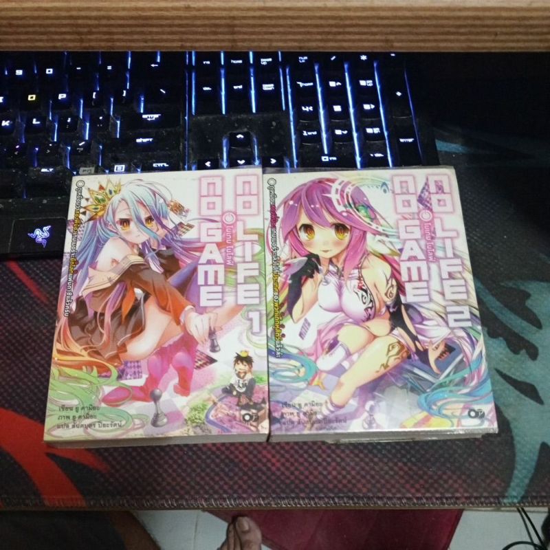 No Game No Life เล่ม1-2