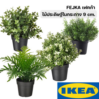 FEJKA เฟคก้า ไม้ประดิษฐ์ในกระถางขนาด 9 cm. IKEA