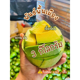 🔥🔥โปร 3 กิโลกรัม สุดคุ้ม🔥🔥🥑อะโวคาโดสด พันธ์ุพื้นเมือง( เชียงดาว) เนื้อเนียน✨มัน ✨ติดหวาน✨ สดๆจากสวน(ราคา ต่อ 3 กิโลกรัม)