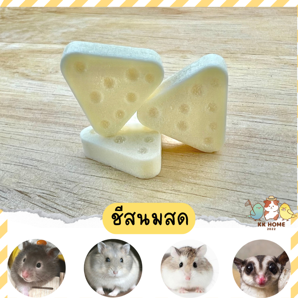 💢6ชิ้น20฿💢 ชีสนมสด [Ham Ham Bakery]เป็นนมที่มีกลิ่นชีส หอมอร่อยมีประโยชน์ ขนมแฮมเตอร์ ชูการ์ กระรอก เเฟตเทลสัตว์อื่นๆ