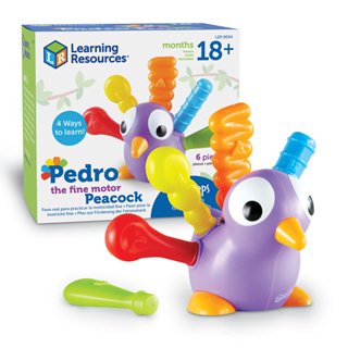 Pedro the Fine Motor Peacock “เพโดร” นกยูงผุ้ฝึกกล้ามเนื้อมัดเล็ก