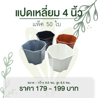 50 ใบ กระถางแคคตัส ทรงแปดเหลี่ยม 4 นิ้ว (โปรโมชั่น - ถูกที่สุด)