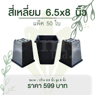 กระถางต้นไม้ สี่เหลี่ยมทรงสูง 6.5x8 นิ้ว สีดำ แพ็ค 50 ใบ