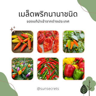 เมล็ดพริกนานาชนิดนำเข้าจากต่างประเทศ