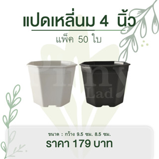 กระถางพลาสติก 4 นิ้ว กระถางแคคตัส สีขาว สีดำ ทรงแปดเหลี่ยม แพ็ค 50 ใบ