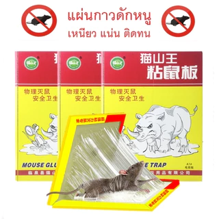 ที่ดักหนู กับดักหนู อุปกรณ์ดักหนู กับดักหนูบ้าน แบบสปริง เหยื่อดักหนู สารกำจัดหนู กาวดักหนู ยาเบื่อหนู