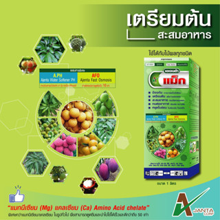 แม็กนีเซียม เอเจนต้า เร่งการเพสลาด ช่วยให้ใบแก่  ใบใหญ่  ใบเขียวเข้ม  (ขนาด500ซีซี.)