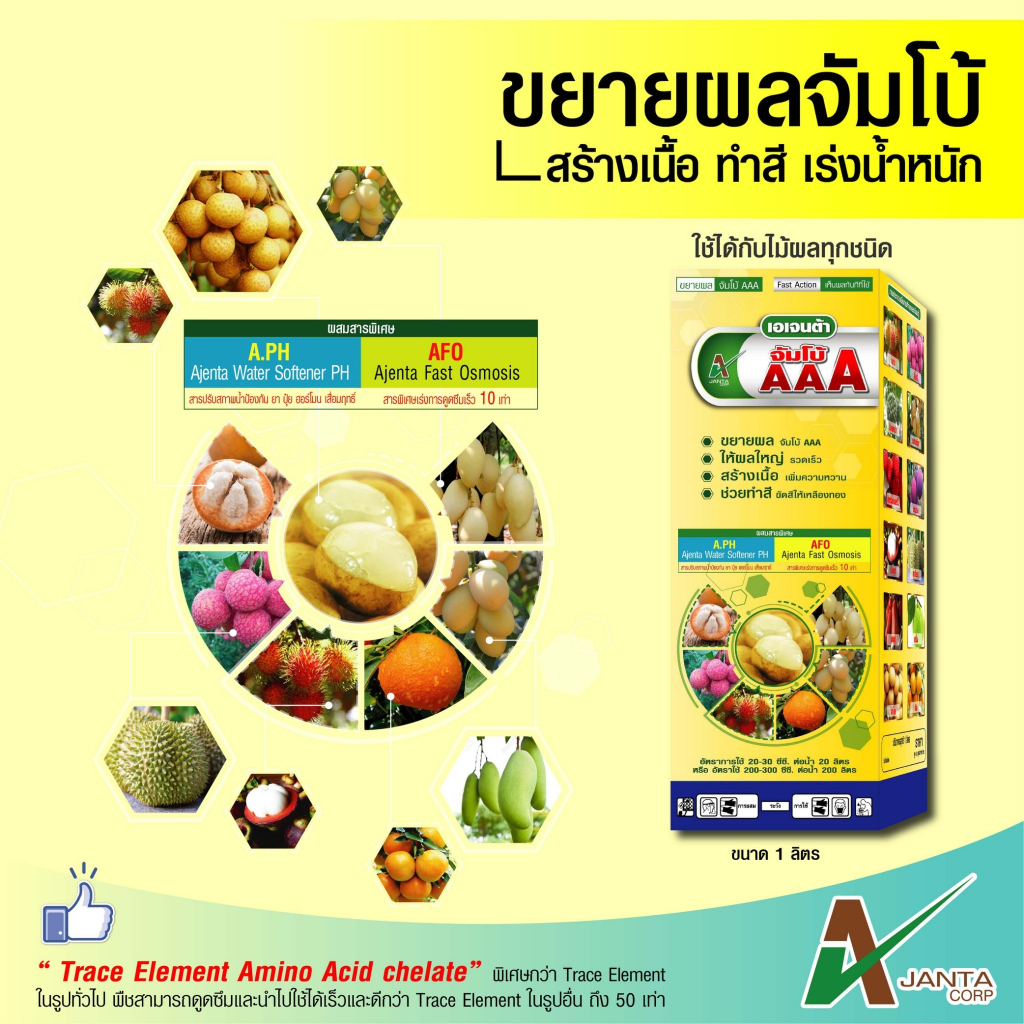 จัมโบ้ AAA ขยายผลใหญ่ สร้างเนื้อ เพิ่มความหวาน ช่วยทำสี ขัดสีให้เหลืองทอง เพิ่มน้ำหนักผล  เอเจนต้า คอร์ป (500 ซีซี)