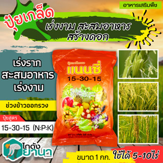 🌾 แนนซี่ 15-30-15 (ปุ๋ยเกล็ดผง) ขนาด  1กิโลกรัม เสริมสร้างการเจริญเติบโตให้กับลำต้น ราก ดอก ผลและใบ