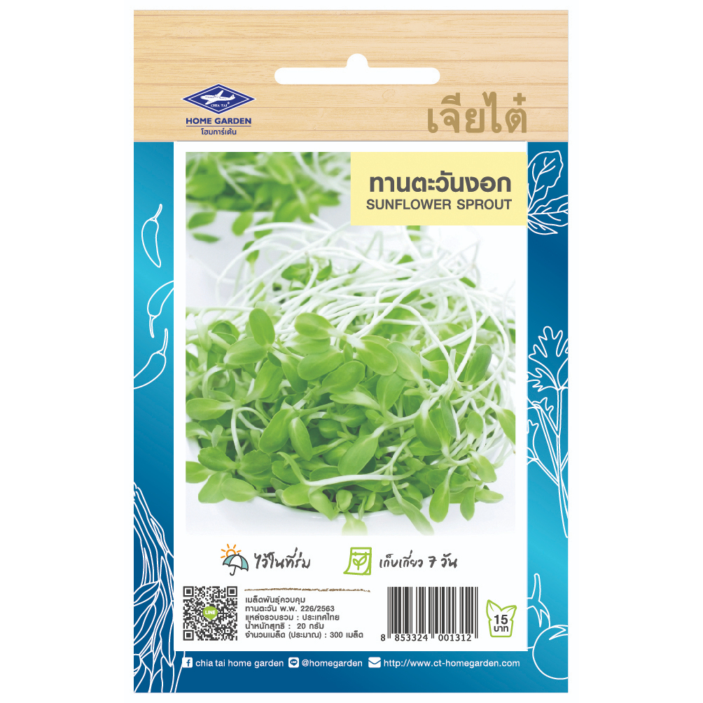 เจียไต๋ (ซื้อ10แถม2) เมล็ดพันธุ์ ทานตะวันงอก ขนาด20กรัม ประมาณ300เมล็ด Sunflower Sprout ต้นอ่อนทานตะวัน เมล็ดพันธุ์พืช เ ราคา ถูกที่สุด ดีลบีเคเค แกลเลอรีภาพที่ 2