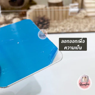 [Hamsterth] แผ่นเย็นคลายร้อน แผ่นเย็น คลายร้อน ที่นอนแฮมสเตอร์ บ้านหนูแฮมสเตอร์