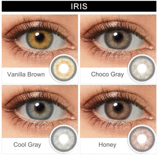 ส่งไวจากไทย Magister คอนแทคเลนส์ รายปี Mini Honey/ Cool Gray  คอนแทคเลนส์รายวัน contact lens เกาหลี14.2MM (2 ชิ้น/คู่)